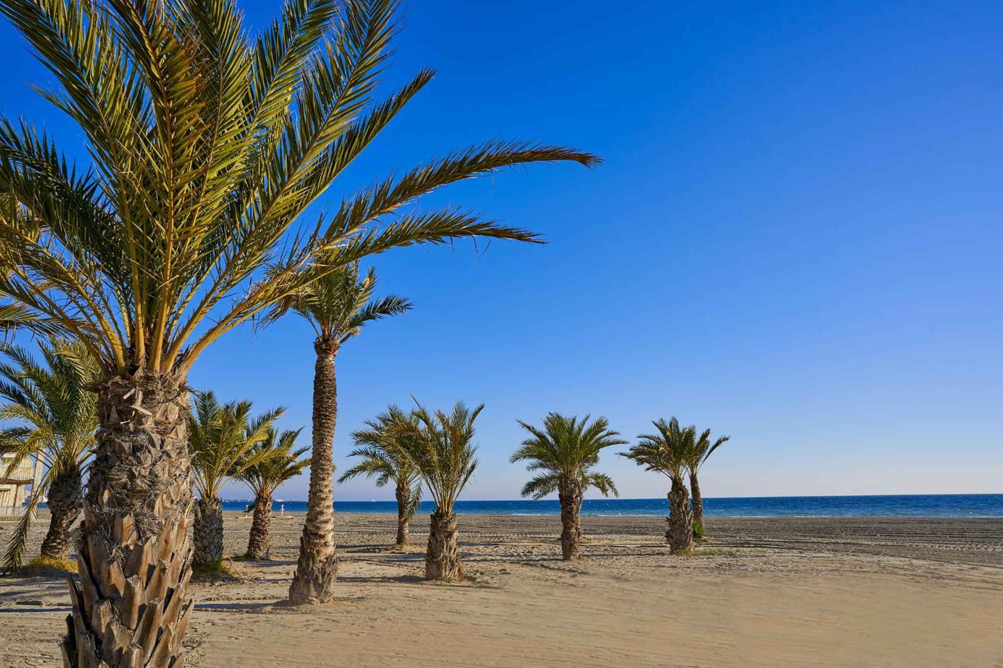 Residence Santa Pola